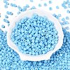 Opaque Baking Paint Glass Seed Beads SEED-T008-02P-2