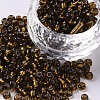 6/0 Glass Seed Beads SEED-US0003-4mm-53-1