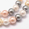 Shell Pearl Bead Strands BSHE-L017-17-5