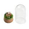 Natural Gemstone Nuggets Display Decoration with Glass Dome Cloche Cover DJEW-B009-04-3