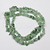 Natural Green Aventurine Chip Bead Strands G-L444-03-2