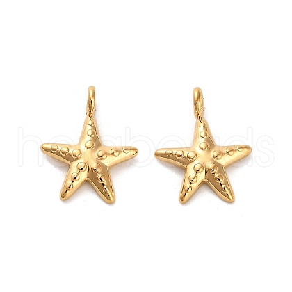 304 Stainless Steel Charms STAS-R151-04G-1