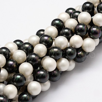 Shell Pearl Bead Strands BSHE-L017-13-1