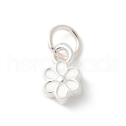 S925 Sterling Silver Pendant STER-H115-08E-S-1