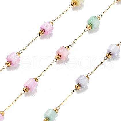 Shell & 304 Stainless Steel Oval Beads Link Chains CHS-K021-09G-04-1
