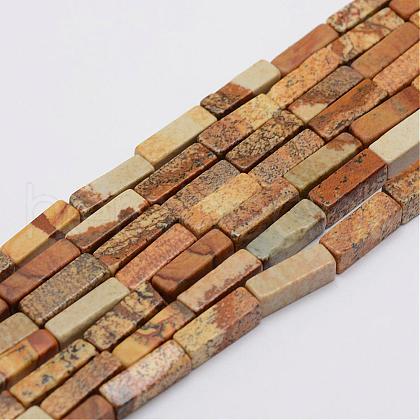 Natural Picture Jasper Beads Strands G-E342-04-1