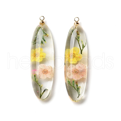 Inner Dried Flower Transparent Resin Pendants RESI-A043-01B-1