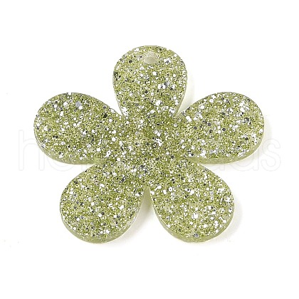 Acrylic Plastic Cabochons OACR-R273-01F-1