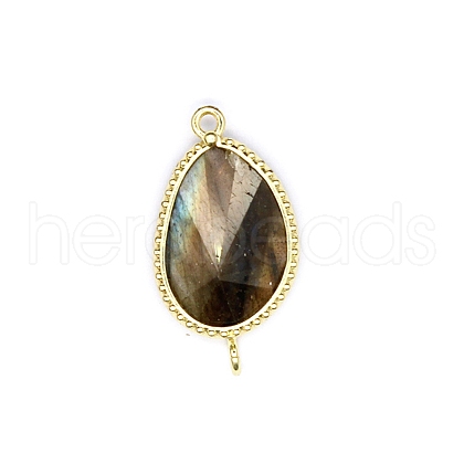 Natural Labradorite Connector Charms PW-WG24A41-02-1