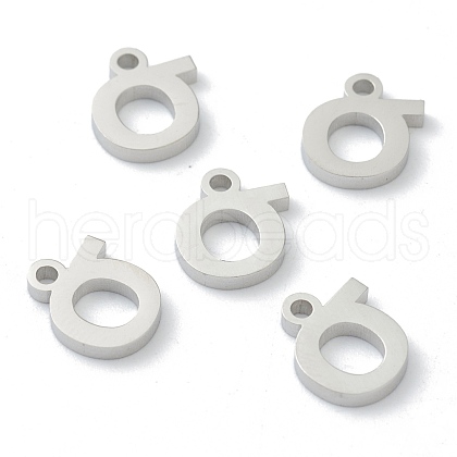 Non-Tarnish 304 Stainless Steel Charms STAS-G244-01S-1