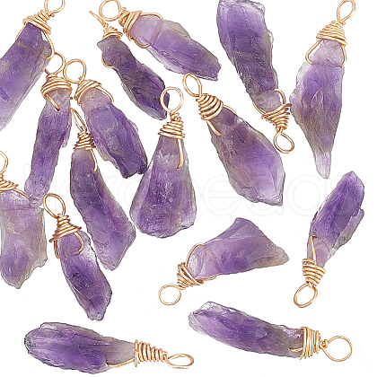 16Pcs Raw Rough Natural Amethyst Copper Wire Wrapped Pendants PALLOY-AB00104-1