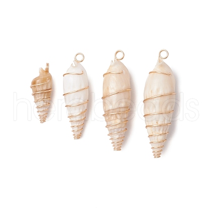 Copper Wire Wrapped Natural Spiral Shell Big Pendants PALLOY-JF03397-02-1