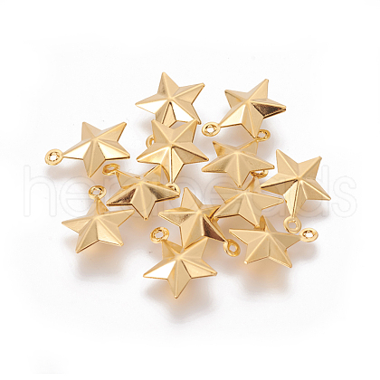 304 Stainless Steel Charms STAS-G191-05G-1