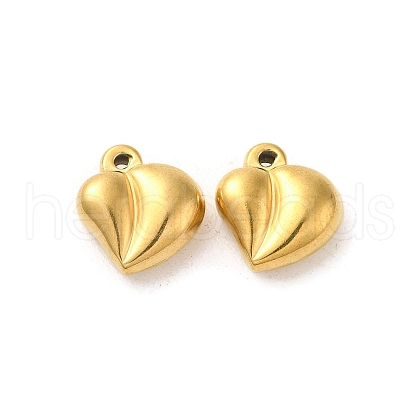 304 Stainless Steel Pendants STAS-O006-04G-1