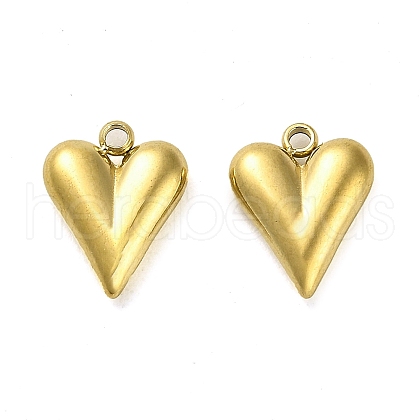 304 Stainless Steel Pendants STAS-L022-108G-07-1