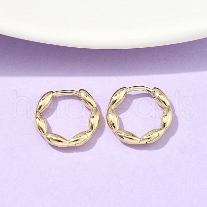 Oval Brass Hoop Earrings EJEW-Z102-34G-1